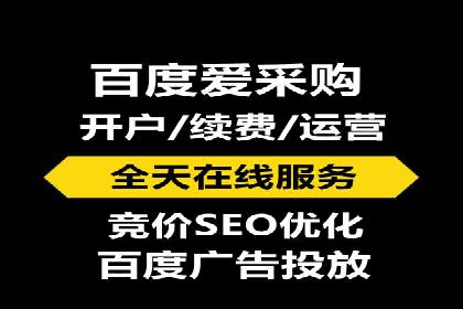 百度推广运营实战：成功案例解析